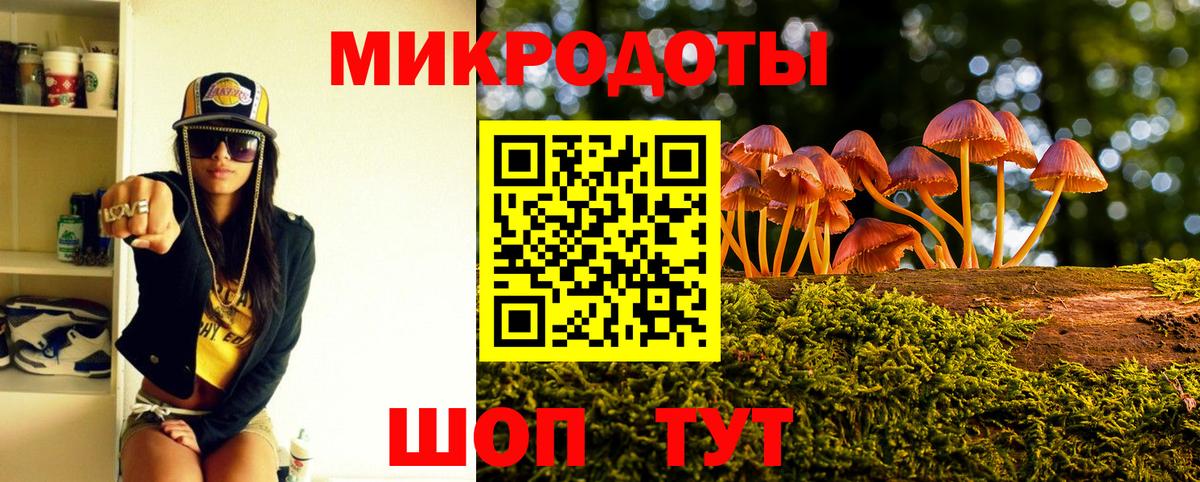 Ачхой-Мартан  Галлюциногенные грибы Cubensis  Вход с VPN 