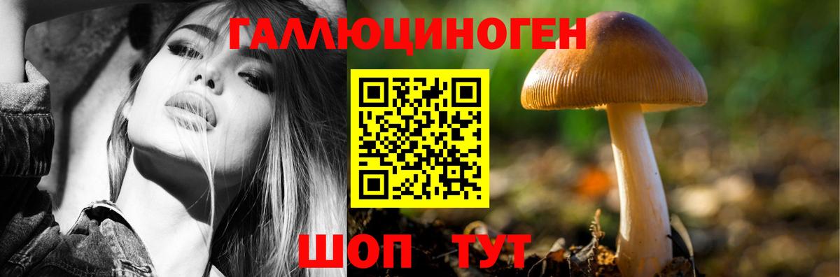Галлюциногенные грибы Magic Shrooms Ачхой-Мартан